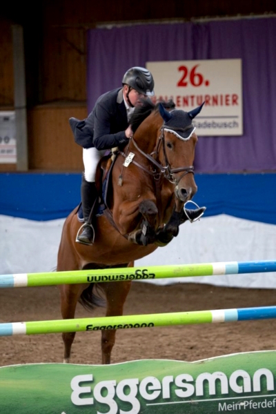 Show jumping horse