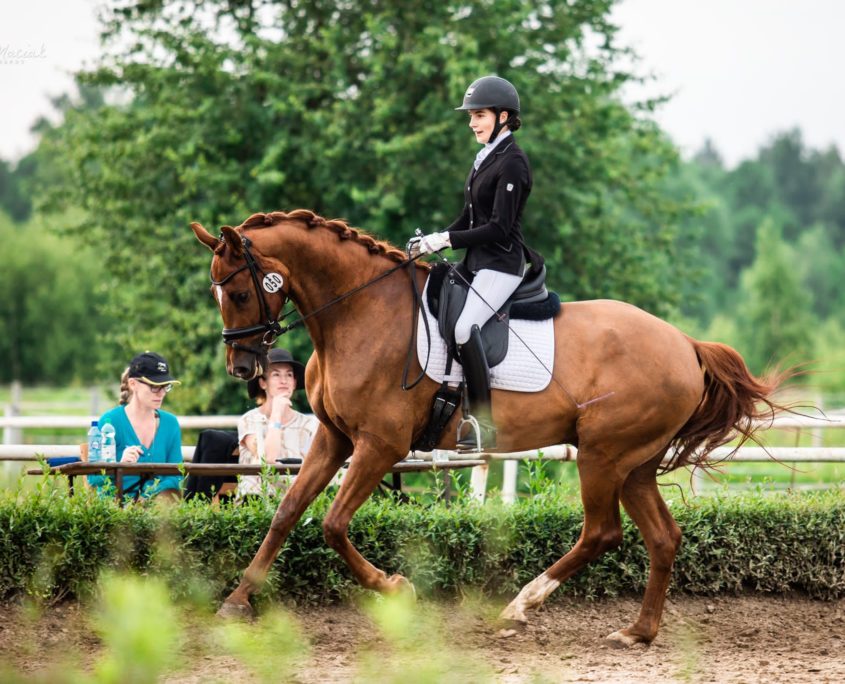 激安挑戦中 Dressage ドレッサージュ フォーマル用 濃紺ニットベスト